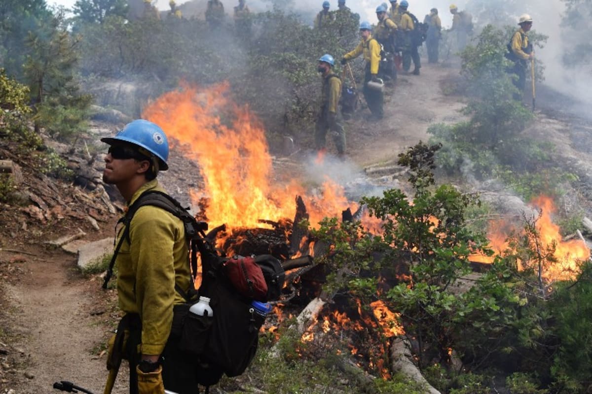 Detienen a bomberos que combatían incendio en EEUU por estatus migratorio irregular
