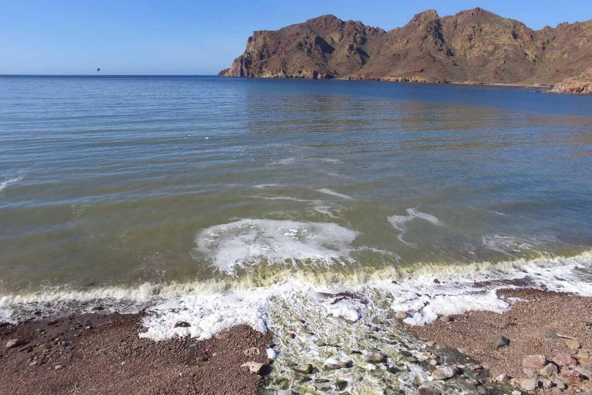 Está sin freno la contaminación en costas de Sonora