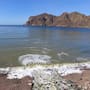 Empalme y Guaymas presentan marea creciente con niveles nunca vistos en 70 años