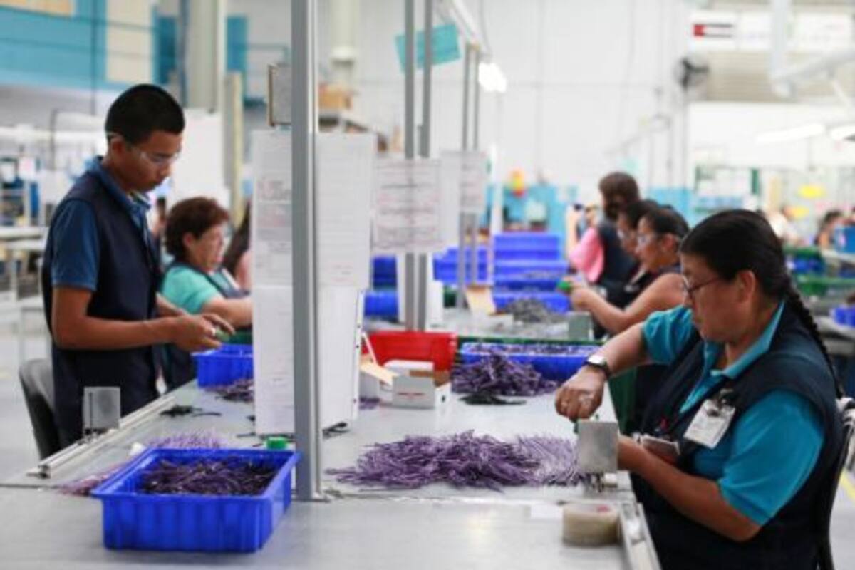 Antes de inicio de sesiones del Congreso se discutirá outsourcing; en diciembre se despidieron a 227 mil: AMLO