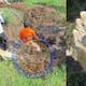 ¿Qué encontraron las Madres Buscadoras de Chiapas y por qué hablan de posibles campos de exterminio? Restos calcinados, casquillos y el angustiante silencio de miles de familias