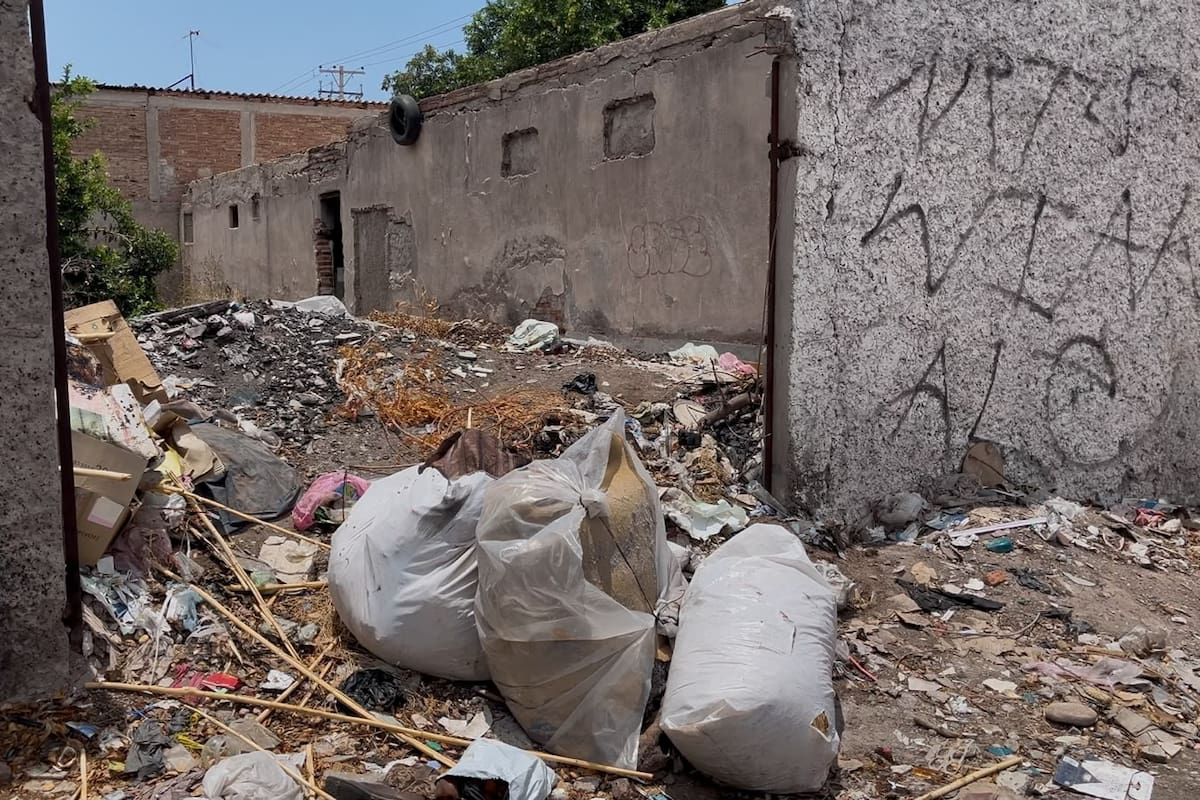 Aplican 456 sanciones por lotes baldíos en Cajeme; hacen llamado a no dejar de denunciar predios en condiciones insalubres