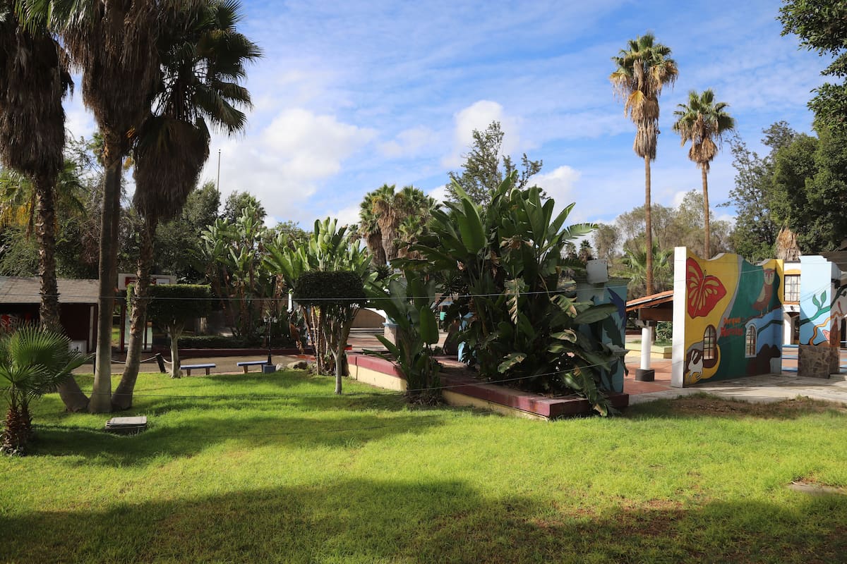 Sin abatirse, rezago de áreas verdes por habitante en Tijuana