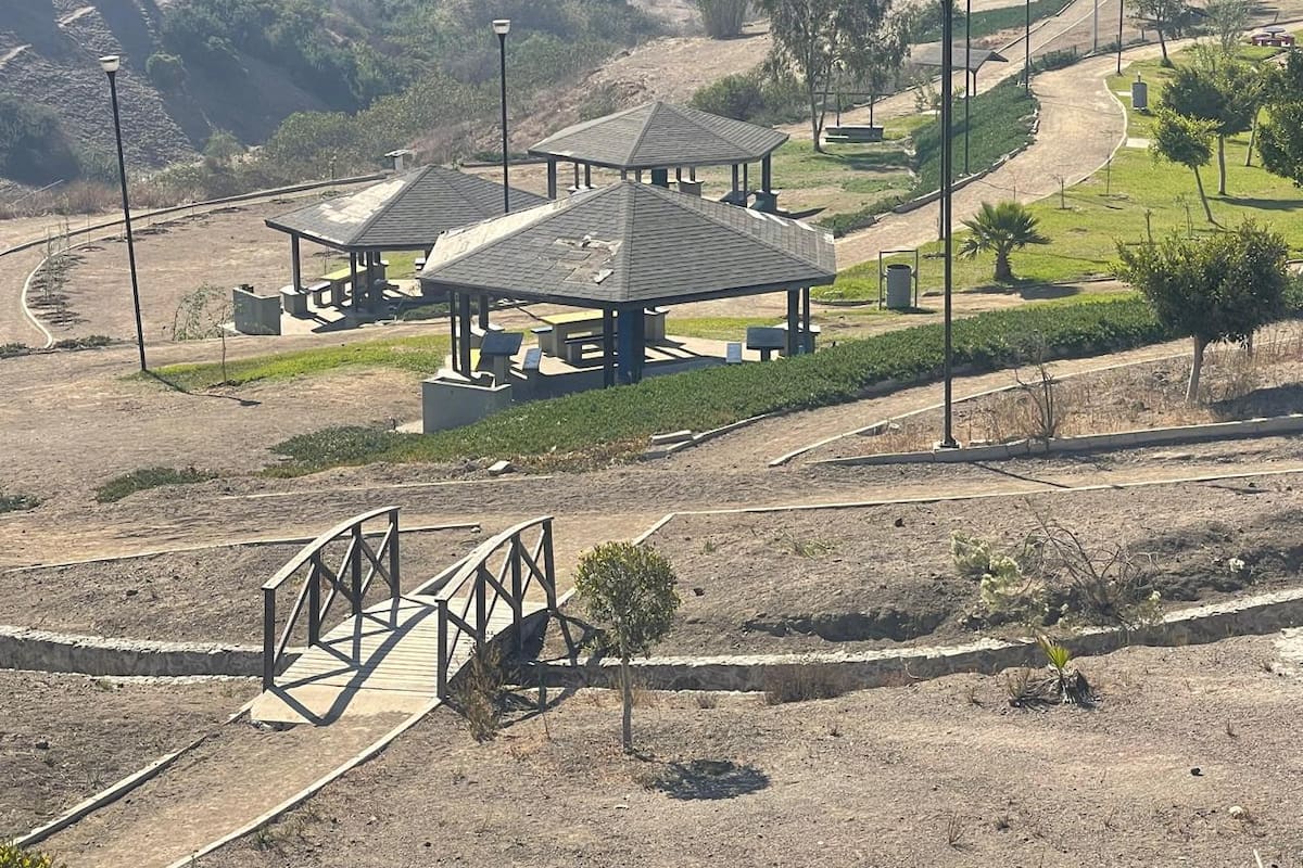 Tras años de abandono, buscan rescate forestal para parque metropolitano con ayuda del Colef