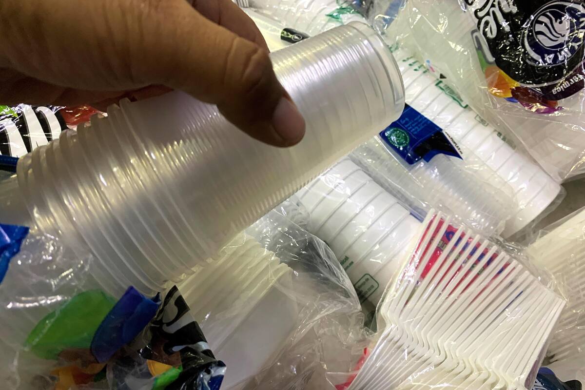 Ambientalista alerta sobre aumento en el uso de unicel, platos desechables y plásticos durante las fiestas decembrinas