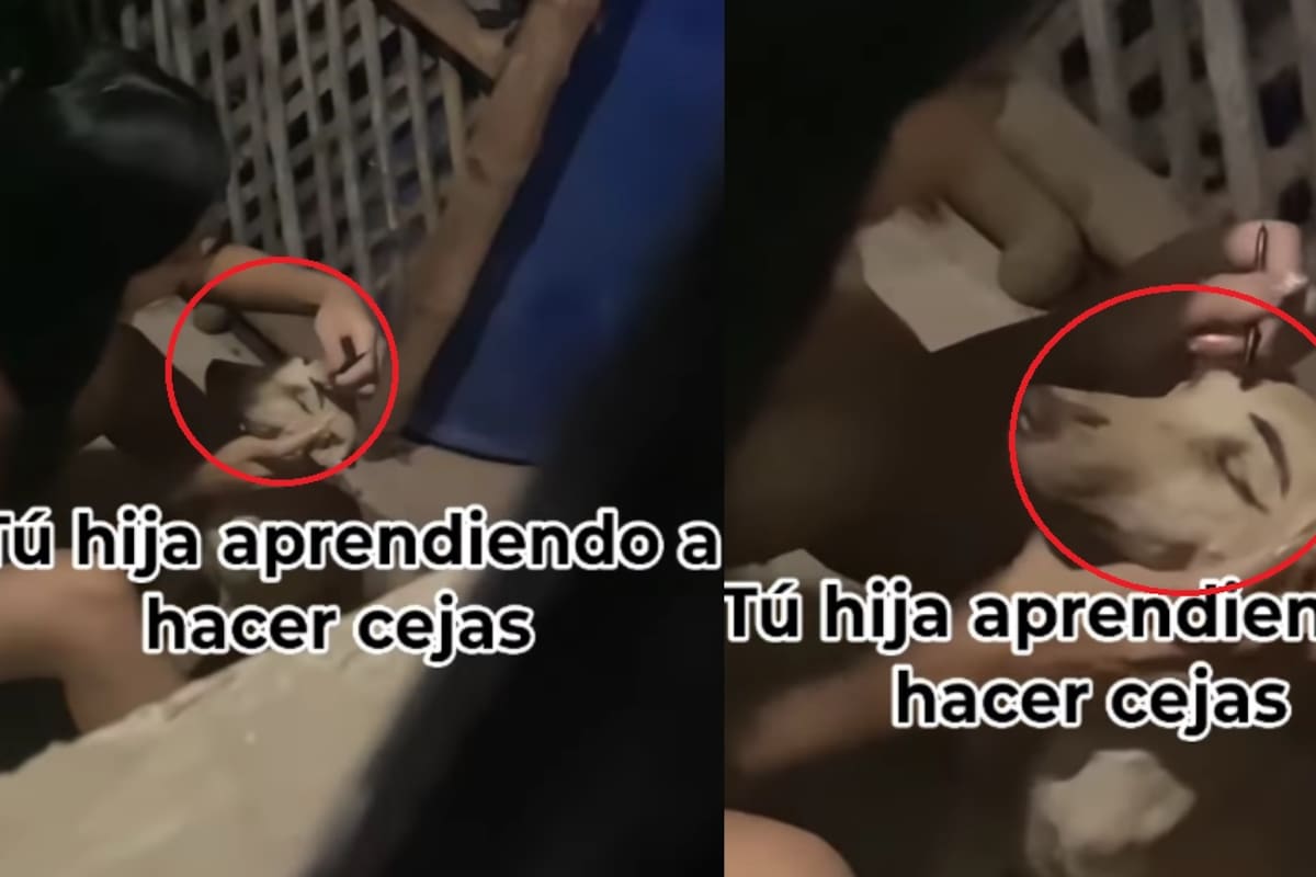Ni el perro se salvó: hombre graba a su hija haciéndole las cejas para practicar y se vuelve viral
