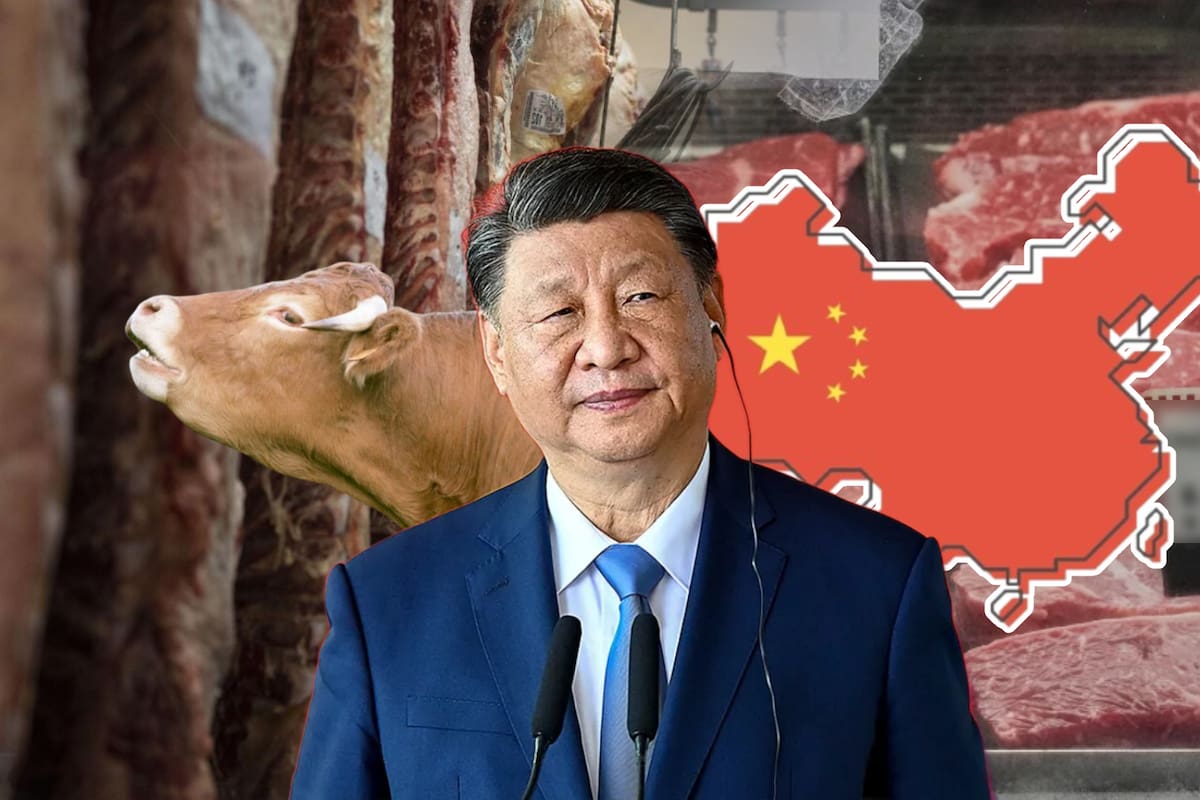 Tras los aranceles contra China desde América, el país asiático respondió con tarifas para importaciones de carne desde EEUU y occidente que entrarán a vigor a partir del primer día de 2026