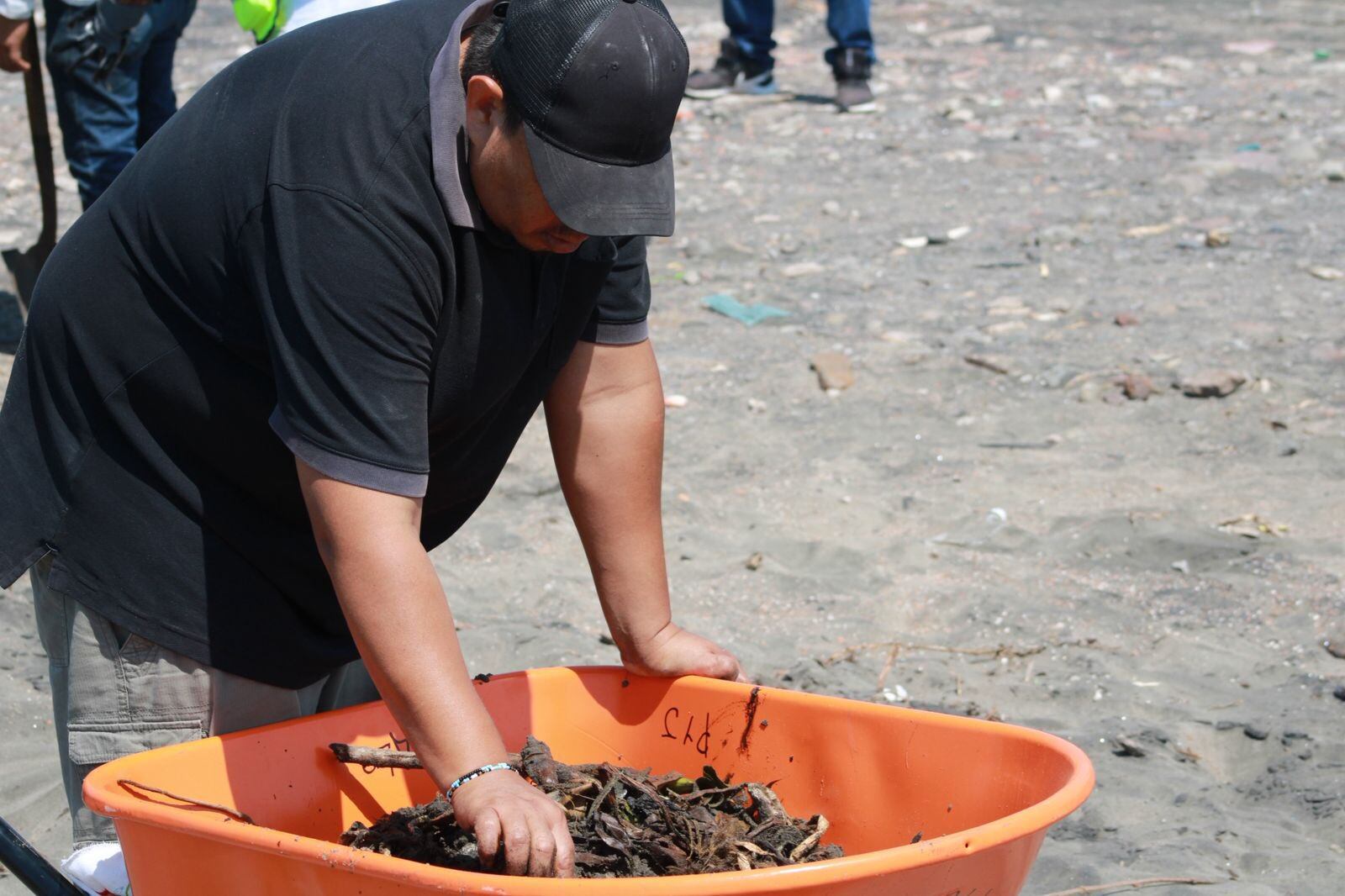 En Playa La Trocha, la Capitanía de Puerto de Alvarado, en coordinación con autoridades municipales, realizó labores de recolección de manchas de hidrocarburo a lo largo de aproximadamente 1 km de litoral. (15/03/2026)| Foto: Secretaría de Medio Ambiente y Recursos Naturales.