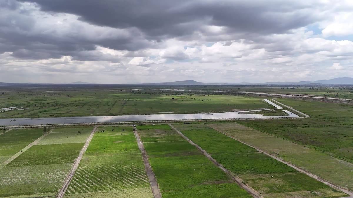 Inauguración del Parque Ecológico Lago de Texcoco.
