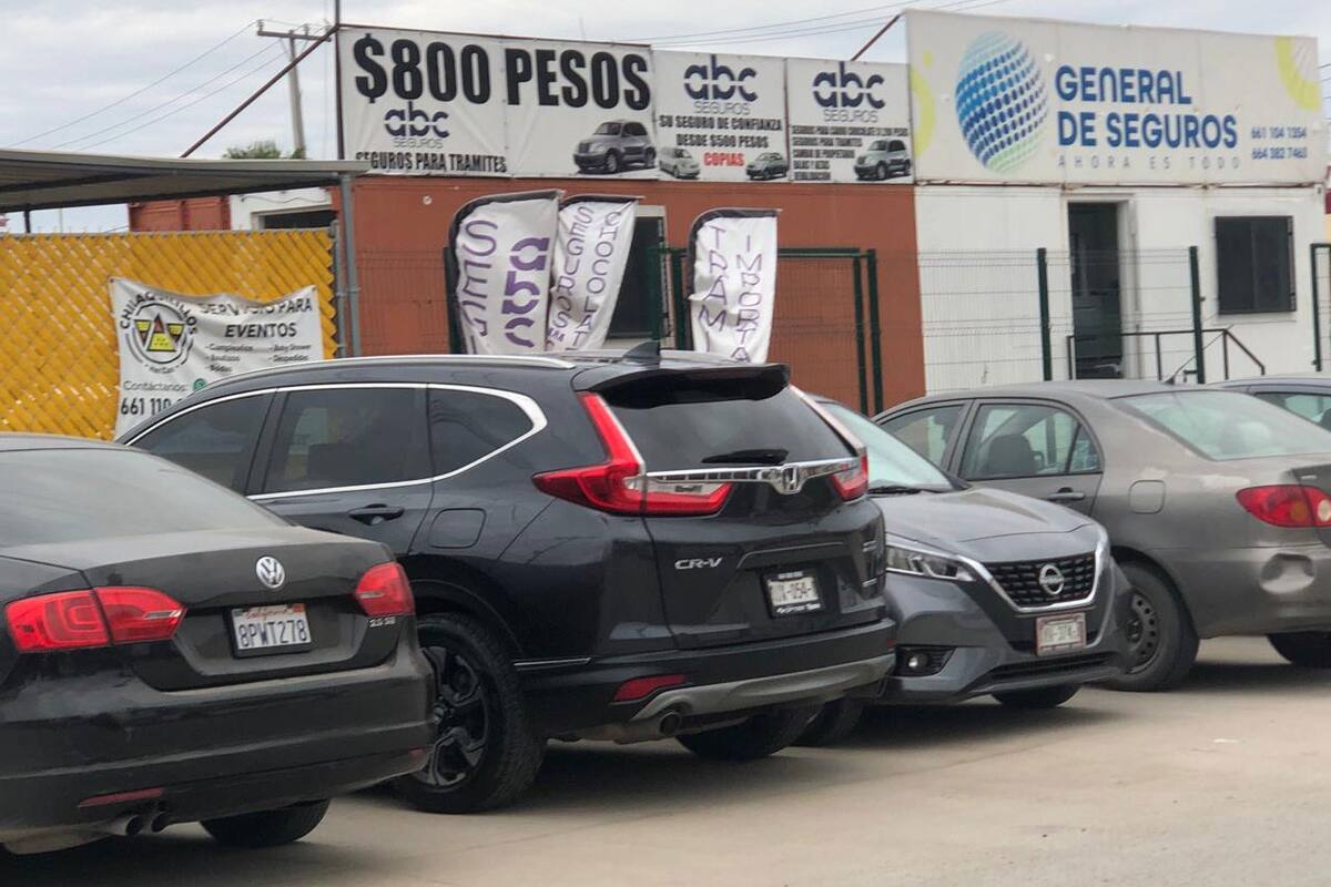 Regularizan en Rosarito casi 31 mil autos ‘chocolate’: Recaudadora