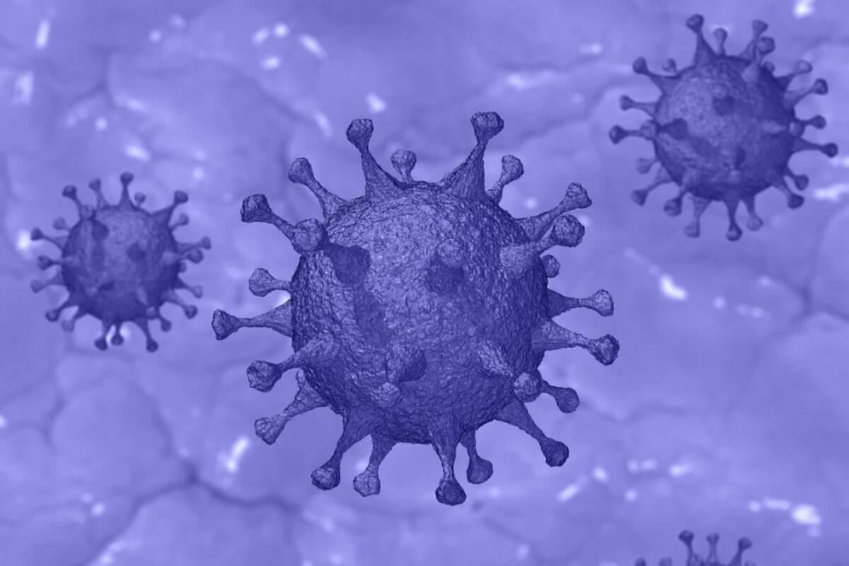 Conferencia Salud Sonora sobre coronavirus pasadas las 20:30 horas