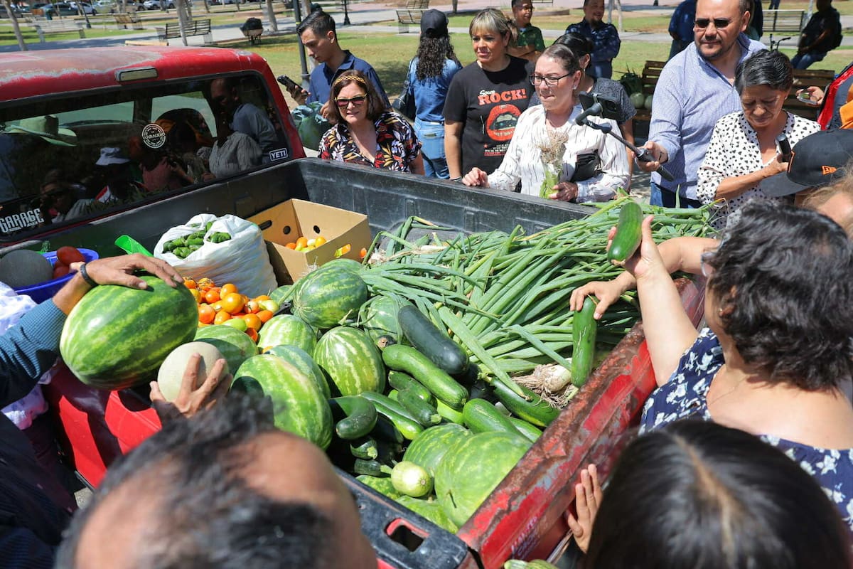 “Búhos” de Agronomía de la Unison venden frutas y verduras