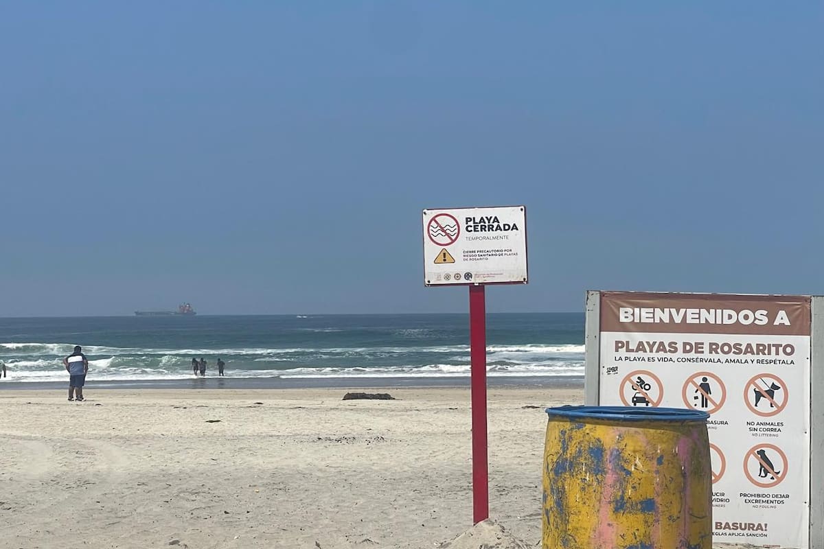 Busca Partido Verde Ecologista iniciar campaña de forestación