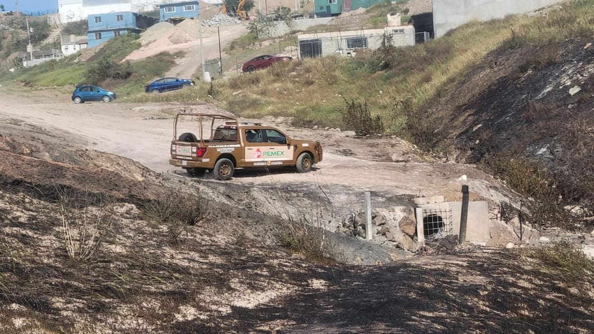 Las llamas alcanzaron entre 15 y 20 metros de altura. Foto: Carmen Gutiérrez