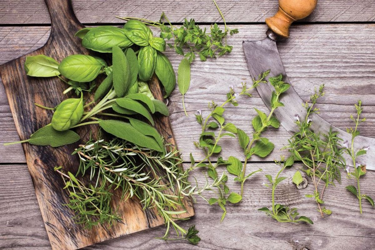 Hierbas y especias, un kit medicinal en la cocina