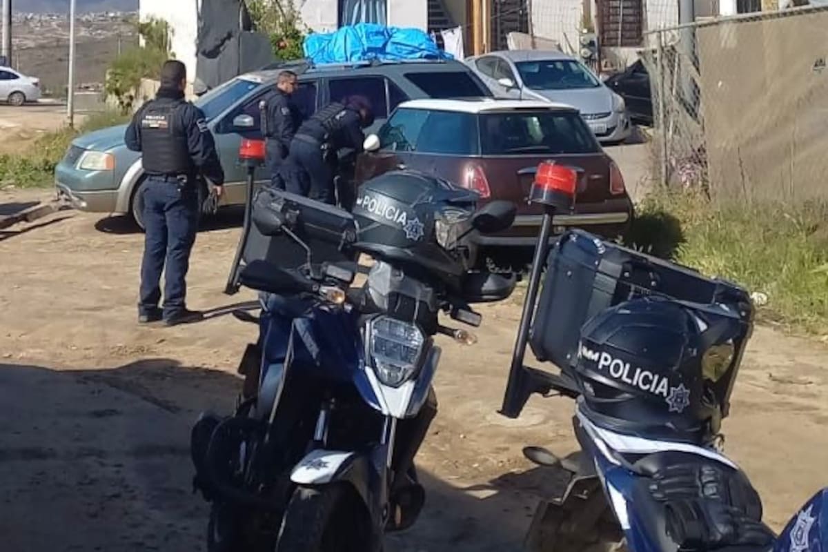 Rescatan a perro que llevaba días encerrado en un automóvil en Ensenada