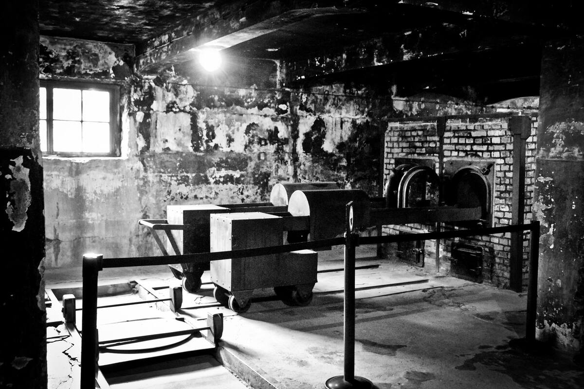 Máquina Enigma: el hallazgo del mítico codificador de mensajes secretos nazi en el fondo del mar