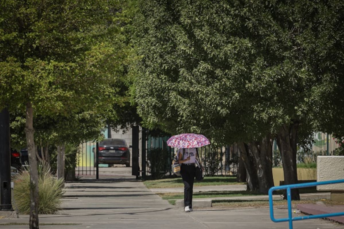 Clima Mexicali: Temperaturas de hasta 33 grados este lunes