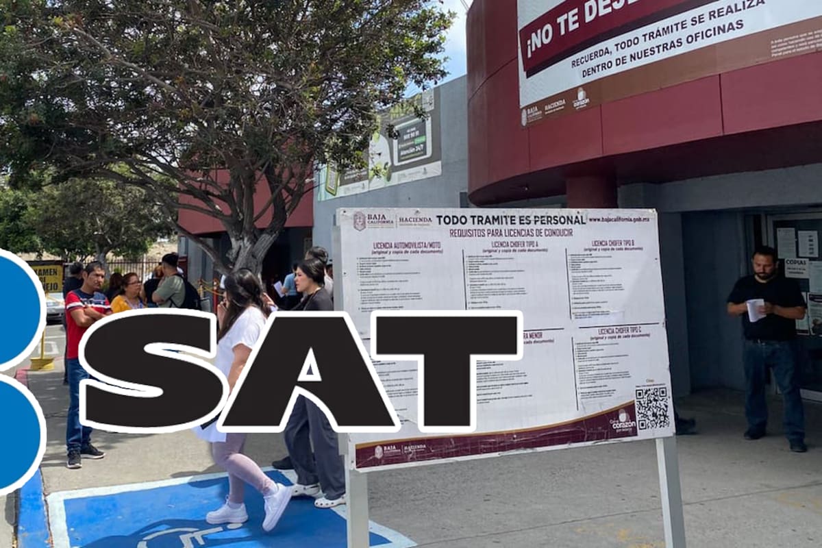 Podría volver la tarjeta de circulación física en Baja California: SAT evalúa mantener ambos formatos