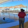 Profepa investiga la muerte de Moana en el Delfinario Sonora y solicita necropsia, estudios de laboratorio y registros de los últimos 135 días