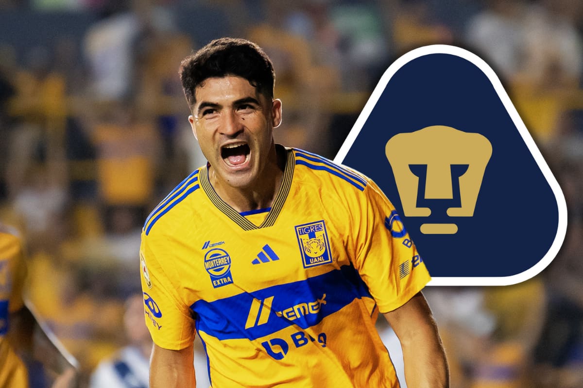 Nicolás Ibáñez interesa a los Pumas para el siguiente torneo, esto es lo que se sabe