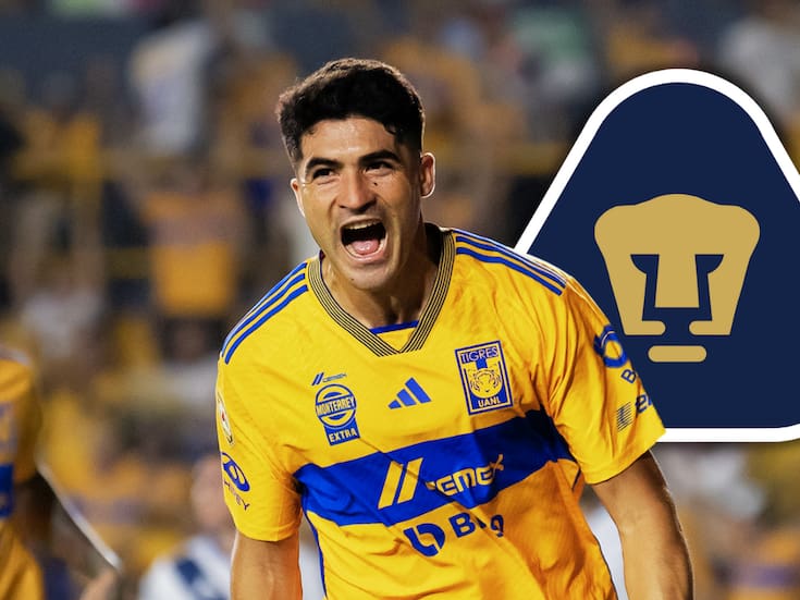 Nicolás Ibáñez interesa a los Pumas para el siguiente torneo, esto es lo que se sabe