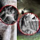 Mueren en túnel mientras ordeñaban ducto de Pemex para vender huachicol, FGR rescata cuatro cuerpos tras derrumbe