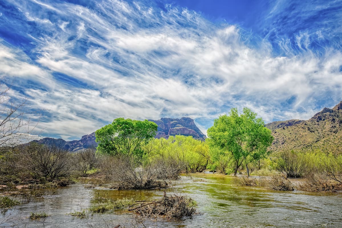 Conoce el Río Salado en Arizona: aventura, historia y diversión en el Estado del Gran Cañón