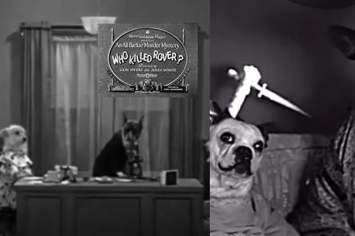 ‘Who Killed Rover?’: un misterio policiaco protagonizado por perros