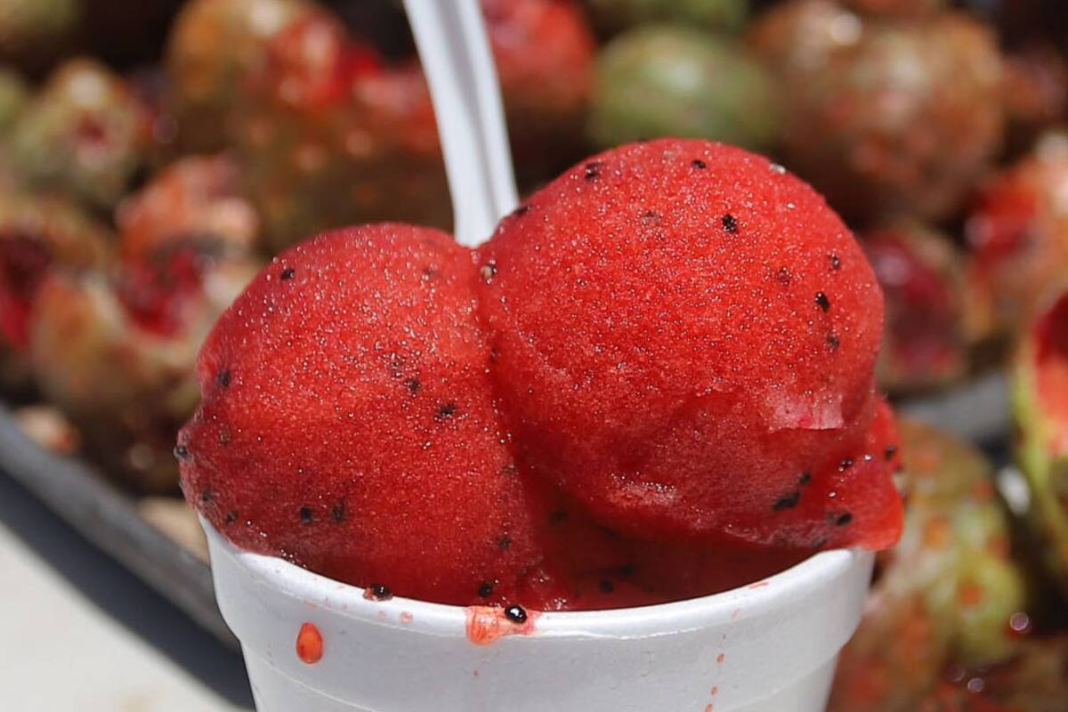 Ures tendrá Festival de la Pitahaya