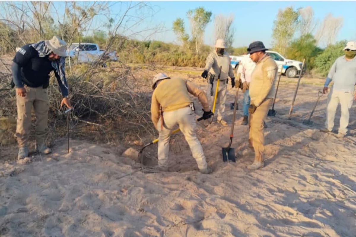 Valle de la muerte: hallazgos continúan en la colonia Miguel Alemán