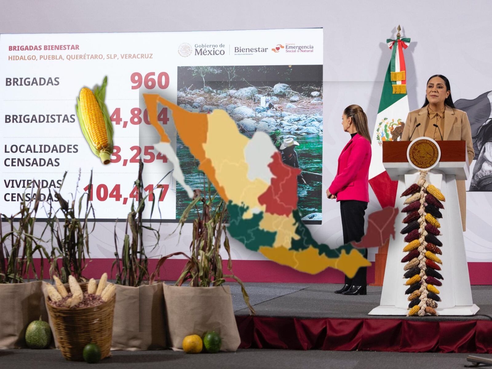 Claudia Sheinbaum lanza el Plan Nacional del Maíz Nativo: estos son los  estados donde iniciará