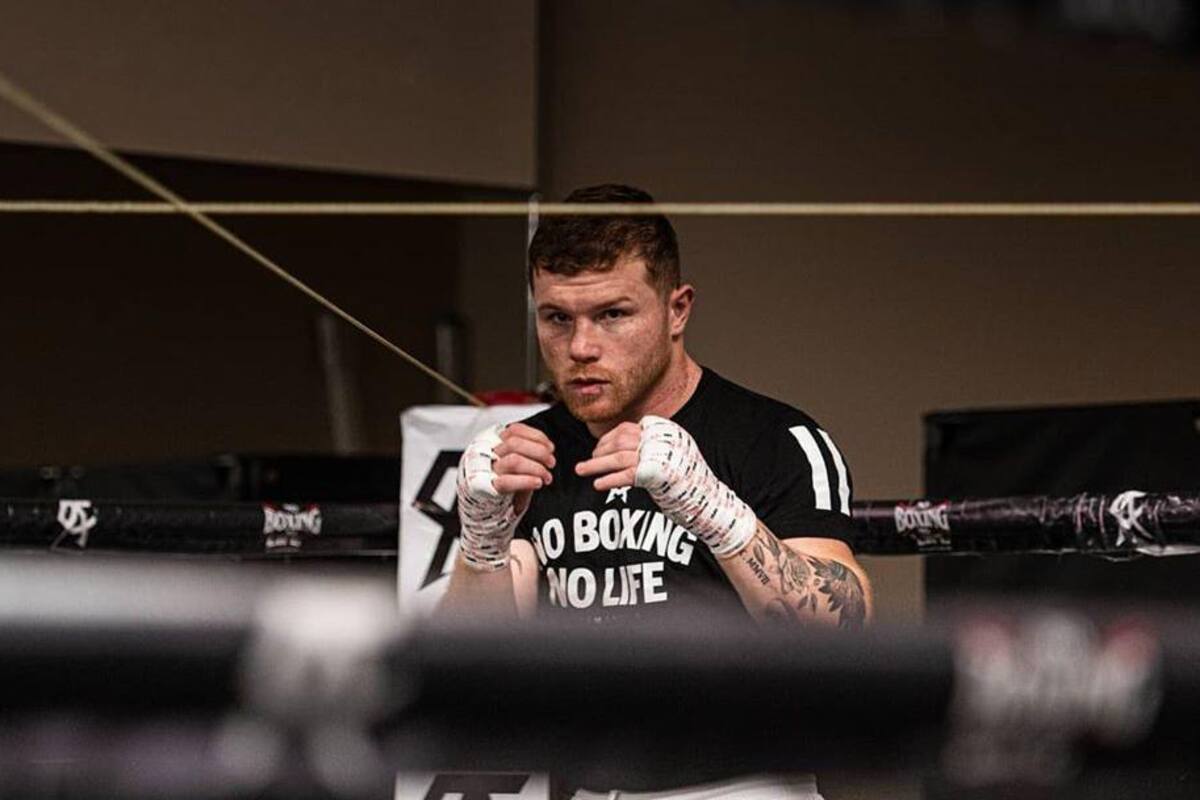 "Canelo" aceptaría subir al ring en septiembre sin aficionados presentes