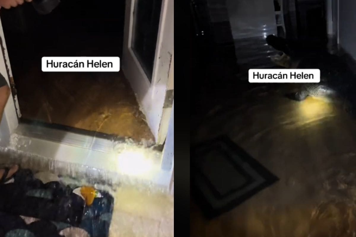 En medio del Huracán Helene, un Cocodrilo entró en el hogar de esta mujer y se volvió viral