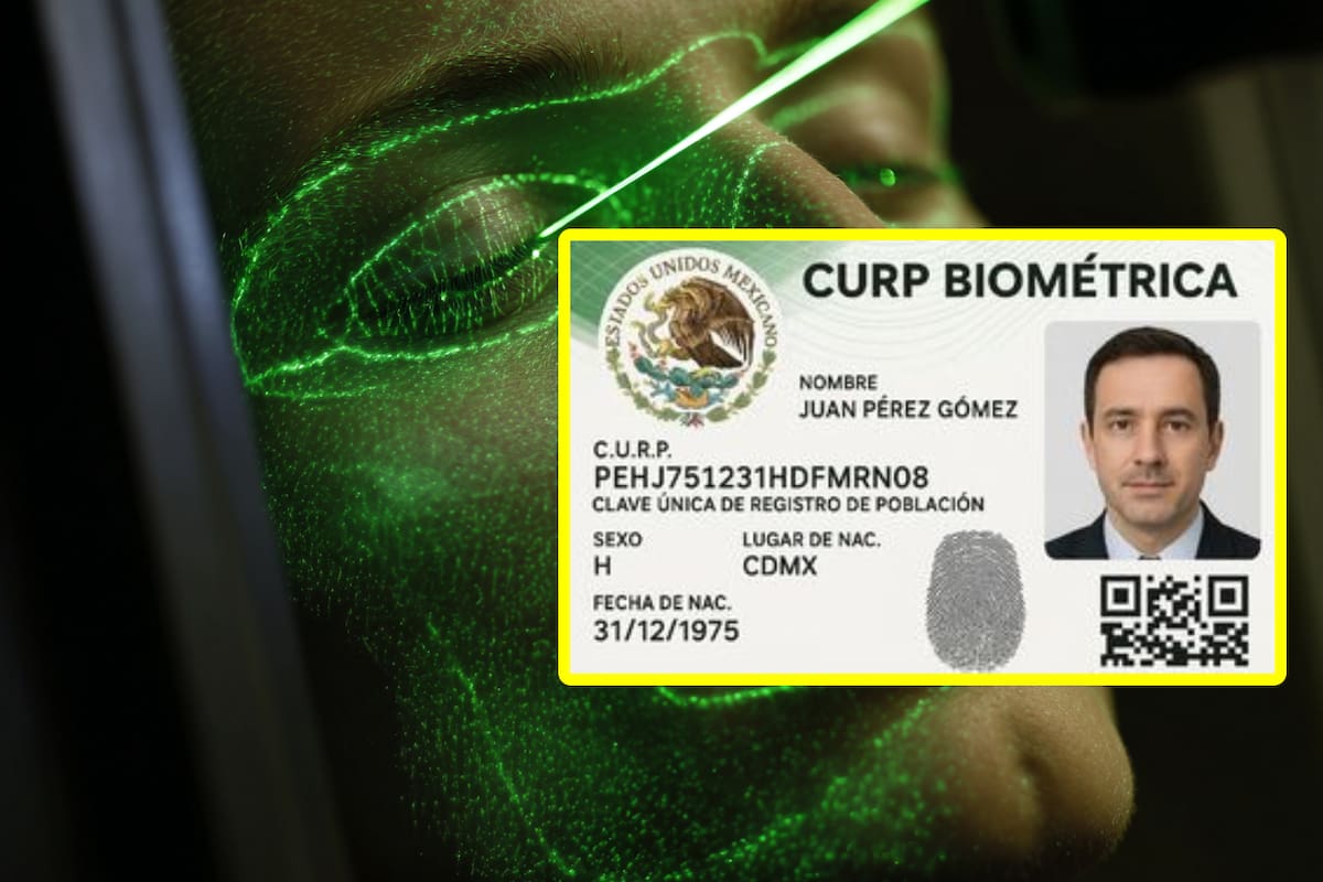 CURP Biométrica: ¿Qué documentos son necesarios para tramitarla?