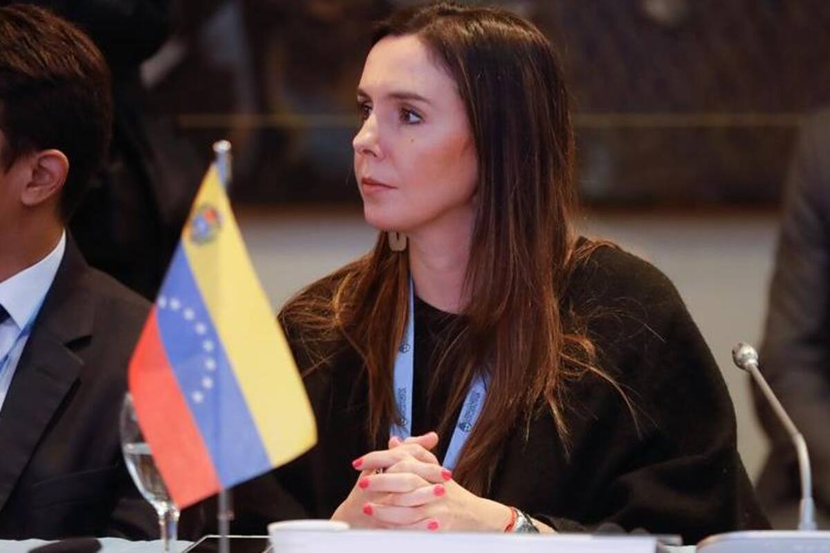 Argentina reconoce a enviada de Guaidó como embajadora de Venezuela