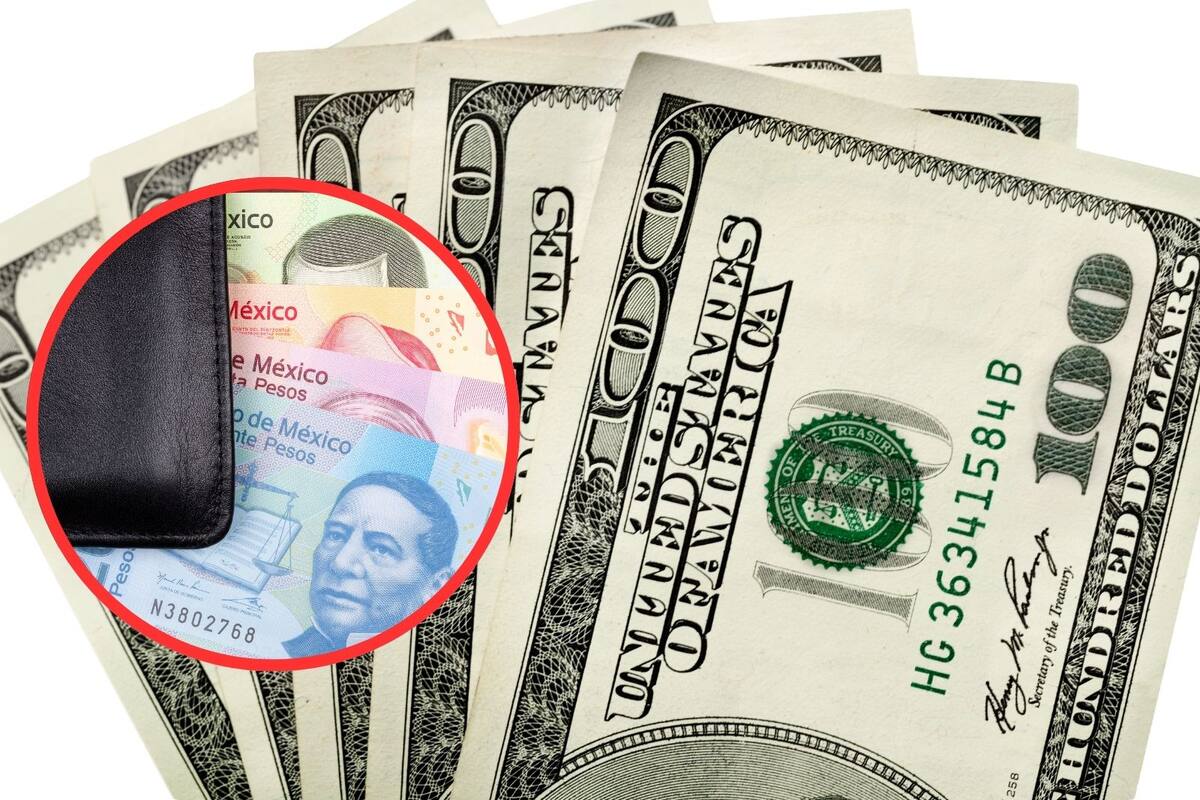 Dólar en México: Así se cotiza el tipo de cambio hoy jueves 13 de febrero de 2025