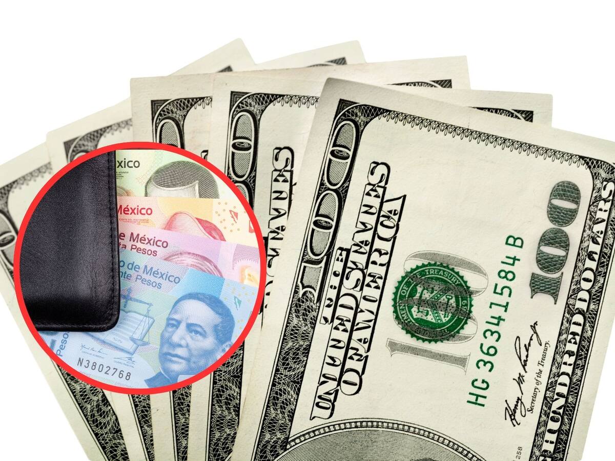 Dólar vs Peso: ¿En cuánto se cotiza el dólar hoy? | Crédito: Canva