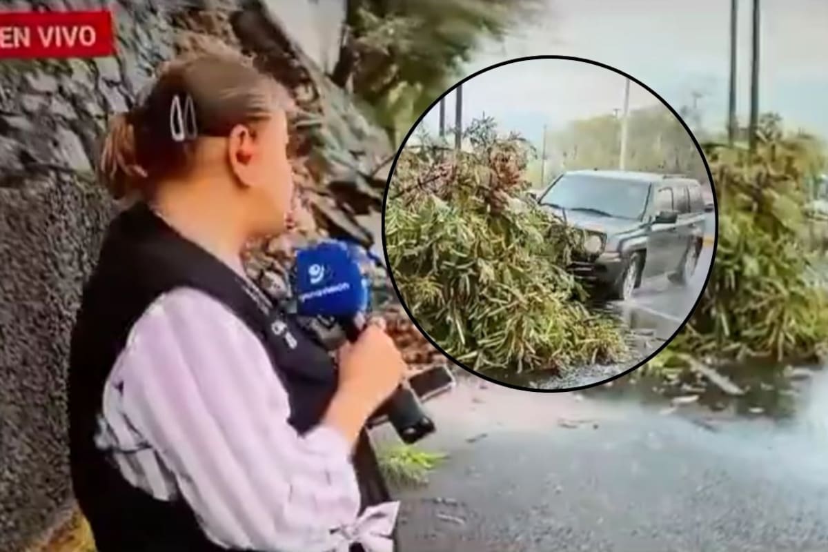 Reportera y camarógrafo son atropellados durante la cobertura en vivo de una noticia en Monterrey; esto se sabe del accidente