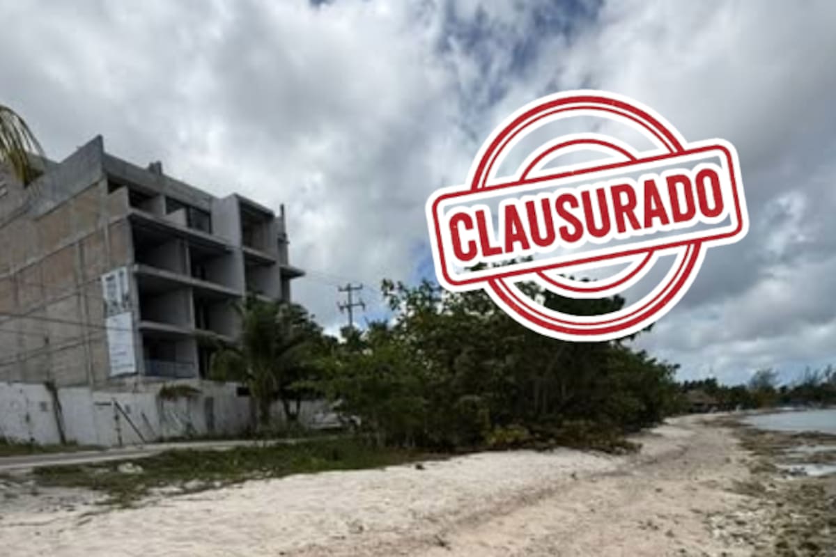 Clausuran en Cozumel dos megaproyectos turísticos por violar normativas ambientales en Áreas Naturales Protegidas