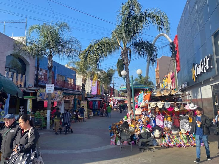 Presencia de ratas genera preocupación entre comerciantes de la zona centro de Tijuana