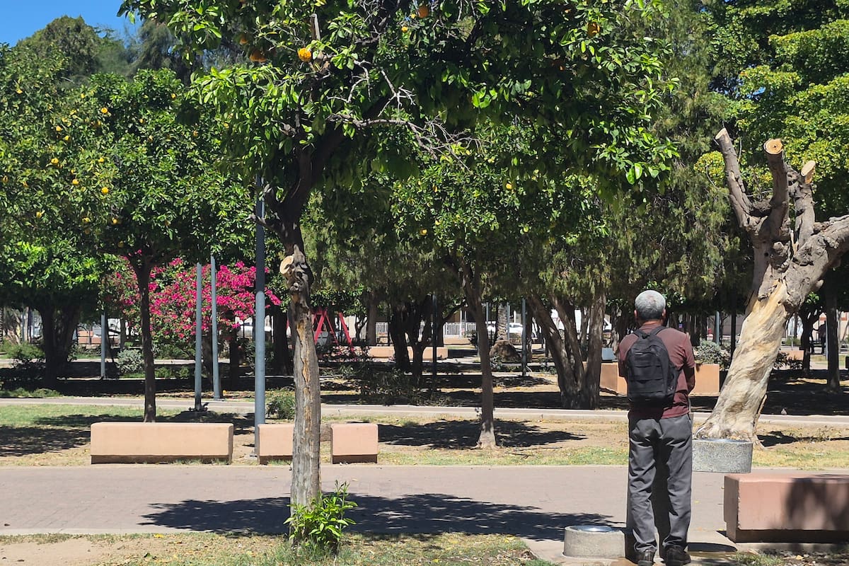 Alertan por seguridad en el Parque Madero tras reportes de comportamientos agresivos de algunas personas en situación de calle