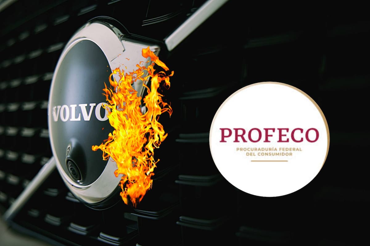 Profeco llama a revisión a 4,692 Volvo EX30 eléctricos por riesgo de incendio al cargar la batería por encima del 70%