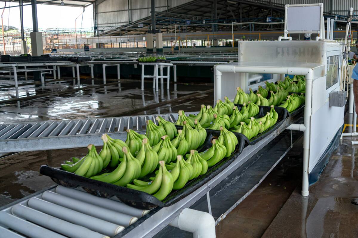 Hugo Alberto Molina Botrán: “La diversificación es la clave del crecimiento sostenible en Grupo HAME’'