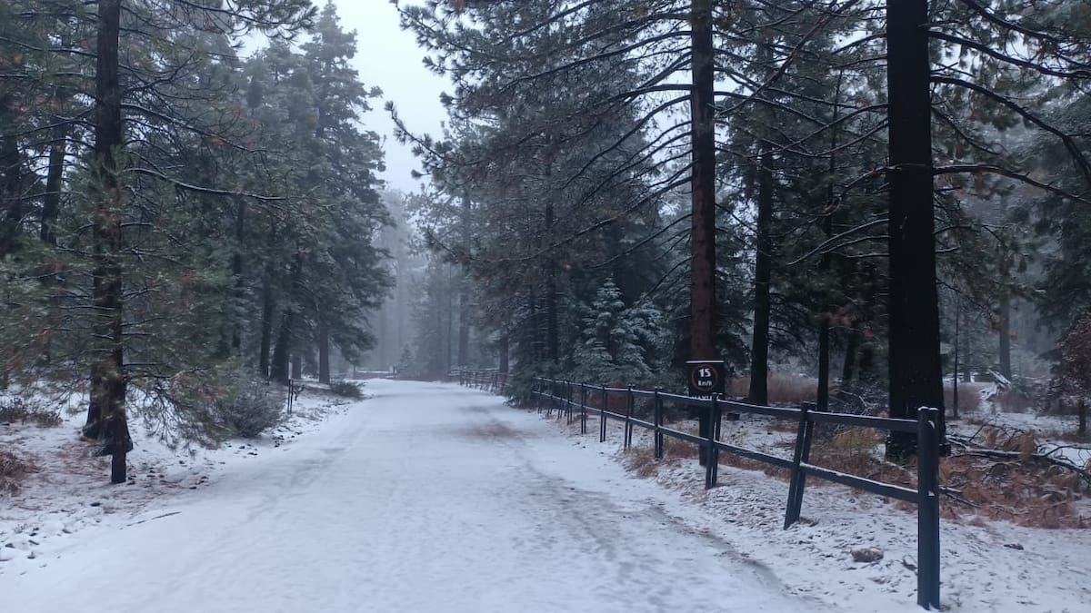La confusión surge porque algunas personas intentan conjugar el verbo como otros verbos regulares, pero nevar no se comporta como uno de ellos.