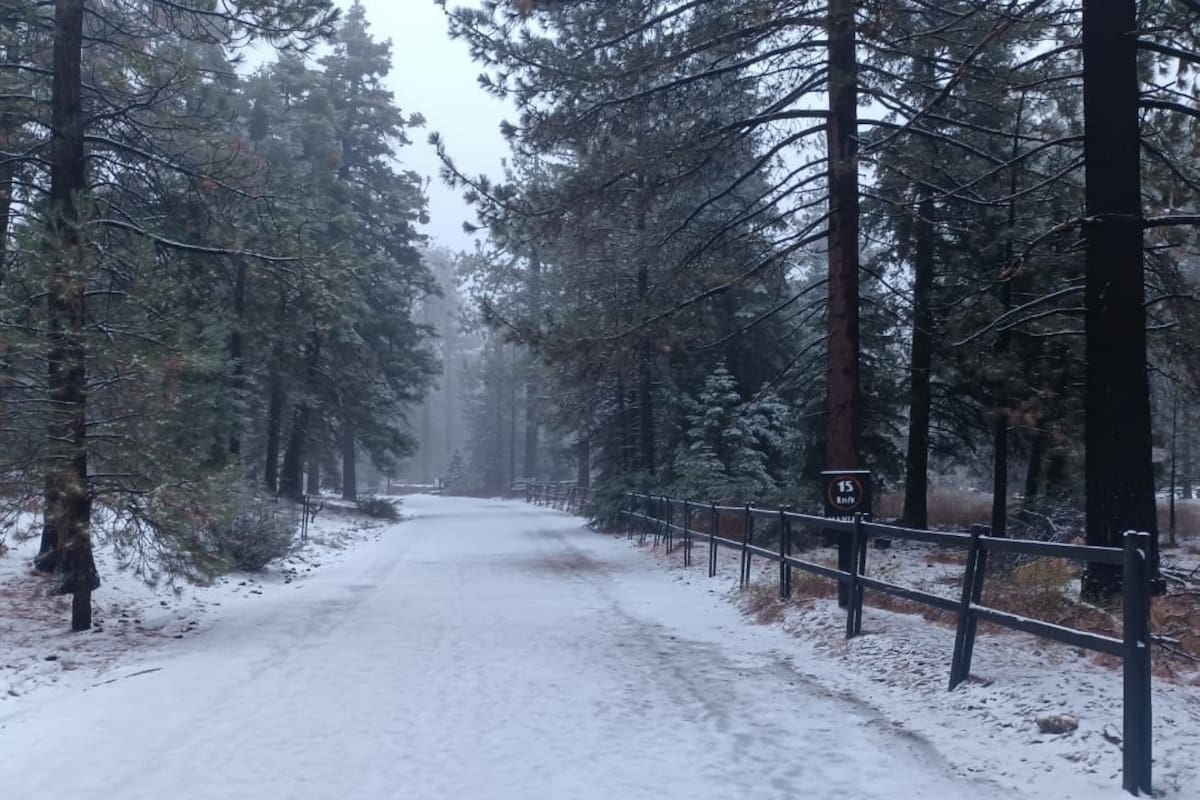 La primera nevada llegó al Parque Nacional Sierra de San Pedro Mártir