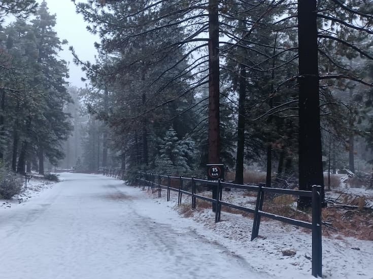 La primera nevada llegó al Parque Nacional Sierra de San Pedro Mártir