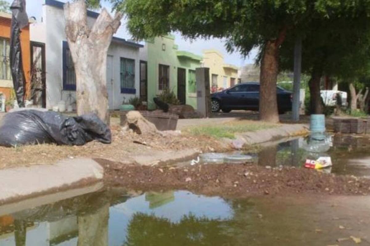 Por falta de atención a drenajes colapsados, trabajos de plomería van en aumento