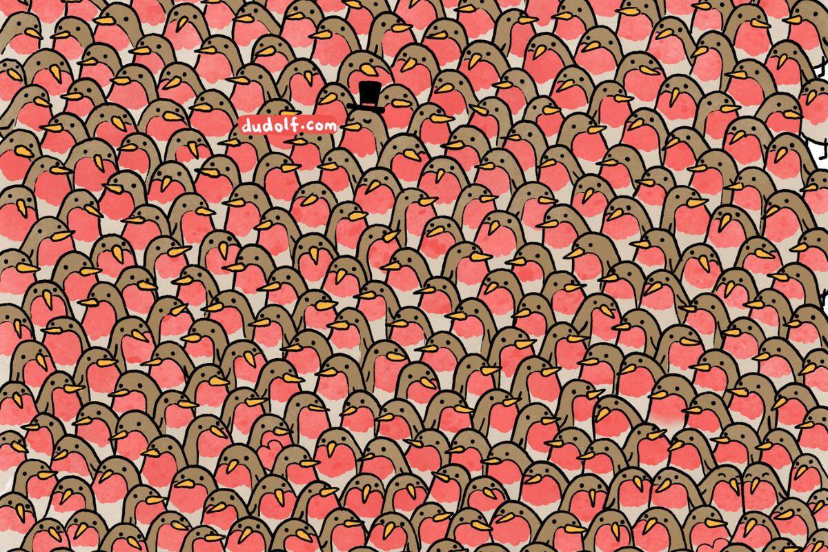 Reto visual: ¿Puedes encontrar los corazones escondidos entre los petirrojos?