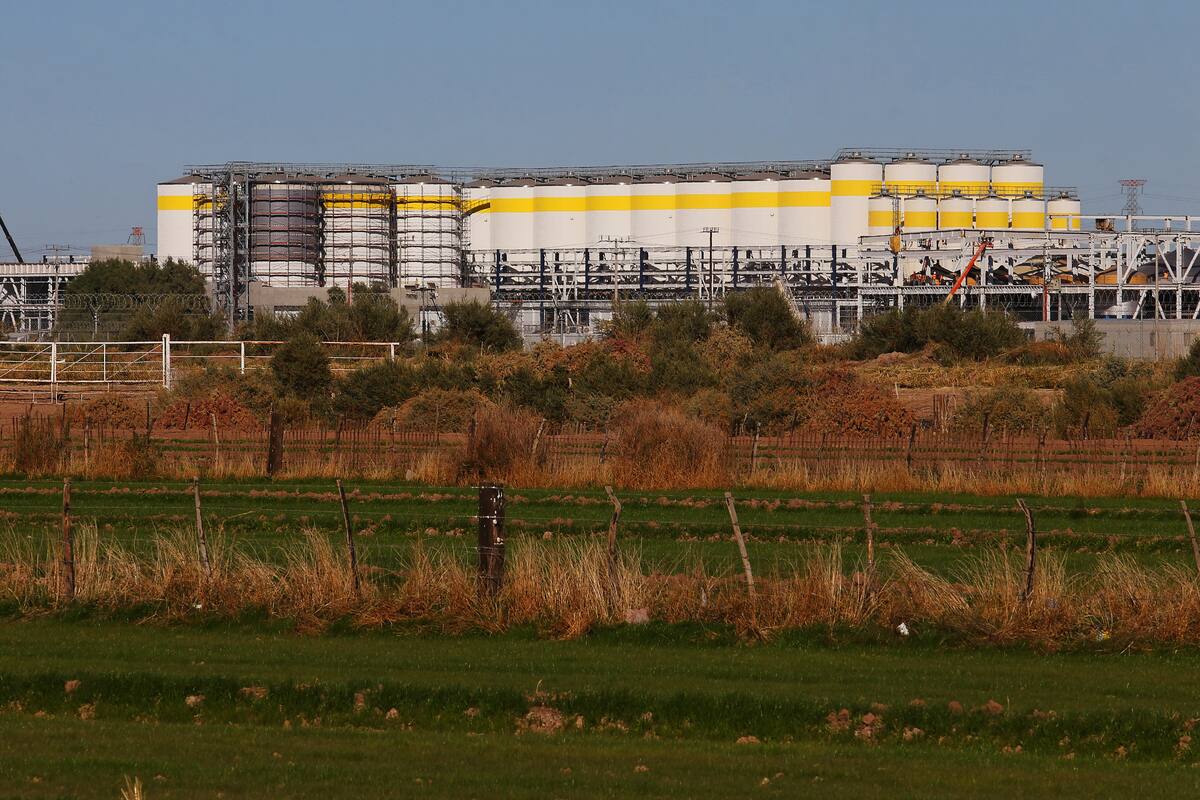 Resultado de consulta sobre cervecera no es legítimo: Constructores